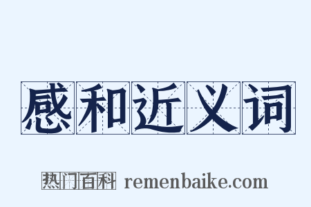 感和近义词是什么意思的图片